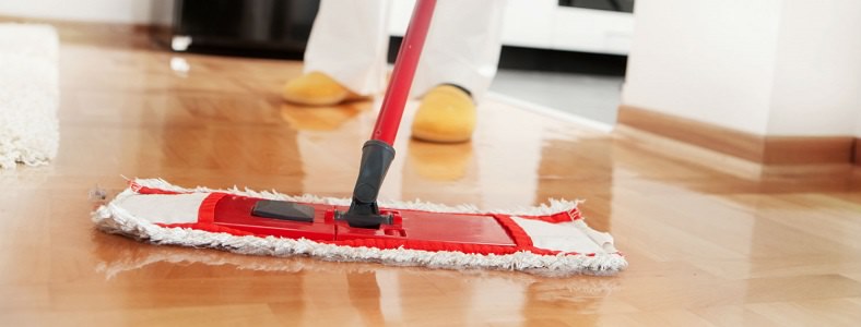 Angajare personal pentru curatenie casa particulara