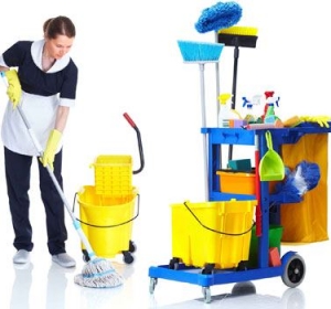 Firma Curatenie Mehedinti