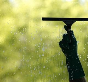 The Cleaners Home & Garden - Firma Curatenie Olt