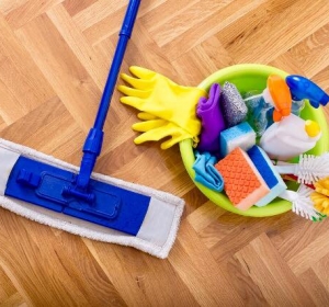 The Cleaners Home & Garden - Firma Curatenie Olt