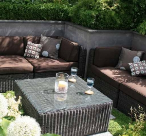 The Cleaners Home & Garden - Firma Curatenie Olt