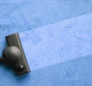 The Cleaners Home & Garden - Firma Curatenie Olt