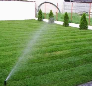 The Cleaners Home & Garden - Firma Curatenie Olt