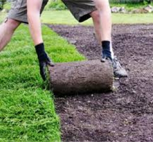 The Cleaners Home & Garden - Firma Curatenie Olt