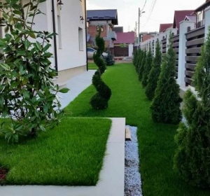 The Cleaners Home & Garden - Firma Curatenie Olt