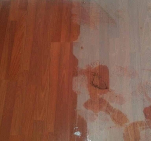 MyClean - Firma Curatenie Bihor