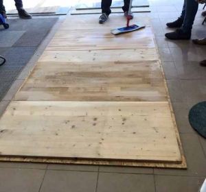 MyClean - Firma Curatenie Bihor