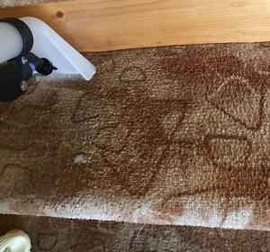 MyClean - Firma Curatenie Bihor