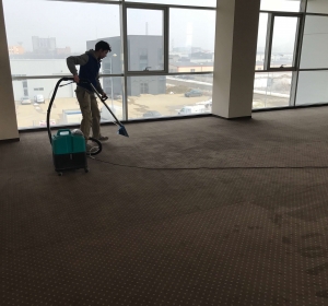 MyClean - Firma Curatenie Bihor