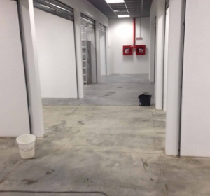 MyClean - Firma Curatenie Bihor