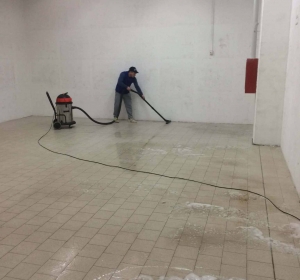 MyClean - Firma Curatenie Bihor