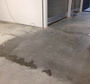 MyClean - Firma Curatenie Bihor