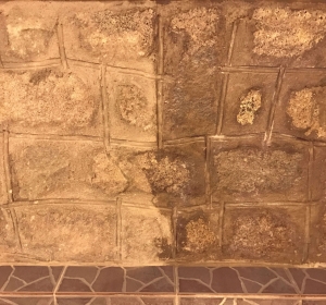 MyClean - Firma Curatenie Bihor