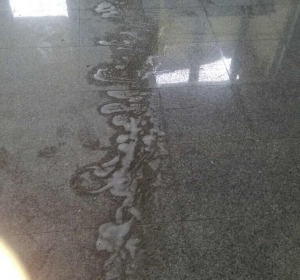 MyClean - Firma Curatenie Bihor