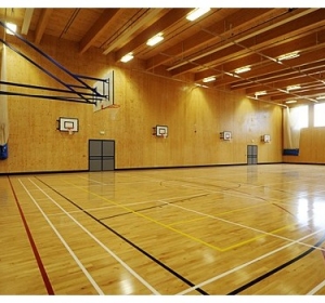 Firma Curatenie Valcea